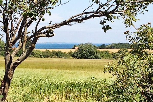 Foto van Luxe vakantieverblijf met zwembad - Vakantiehuis in Bogense - View
