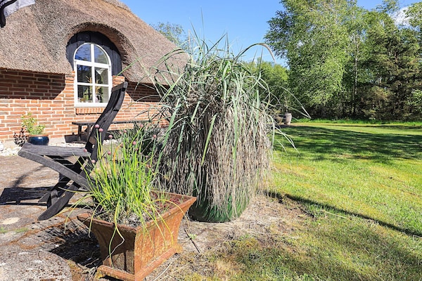 Foto van 6 persoons vakantie huis in Jerup-By Traum - Vakantiehuis in Jerup - View