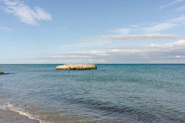 Foto van Afgelegen strand toevluchtsoord -- By Traum Ferienwohnungen - WaterView