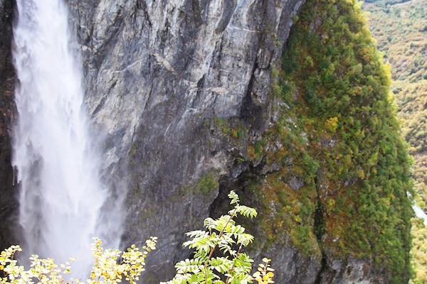 Foto van 6 persoons vakantie huis in Øvre Årdal - Vakantiehuis in Øvre Årdal - Untagged