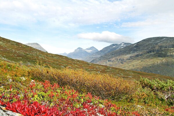 Foto van 6 persoons vakantie huis in Øvre Årdal - Vakantiehuis in Øvre Årdal - Untagged