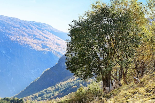 Foto van 6 persoons vakantie huis in Øvre Årdal - Vakantiehuis in Øvre Årdal - View
