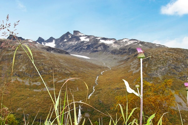 Foto van 6 persoons vakantie huis in Øvre Årdal - Vakantiehuis in Øvre Årdal - Untagged