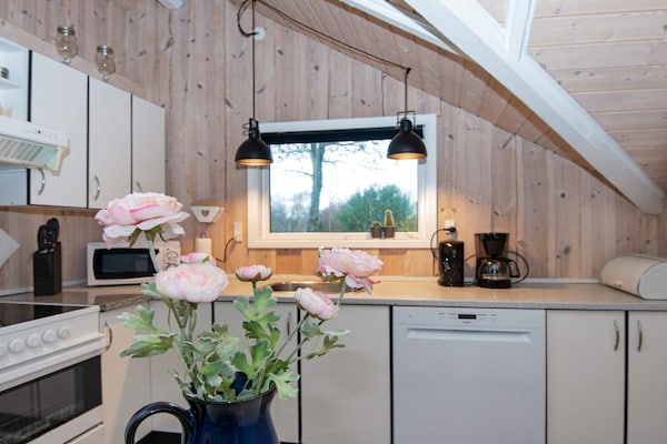 Foto van 6 persoons vakantie huis in Hemmet-By Traum - Vakantiehuis in Hemmet - Indoor