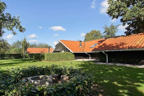 Foto van 6 persoons vakantie huis in Hemmet-By Traum - Vakantiehuis in Hemmet - Outdoor