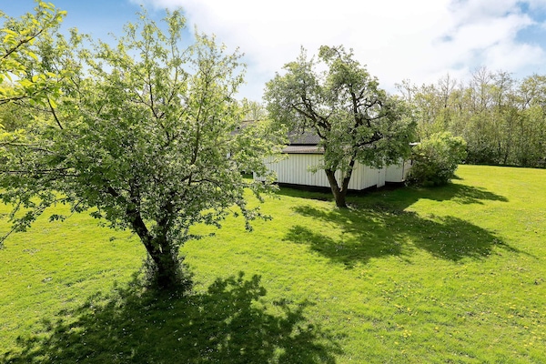 Foto van 6 persoons vakantie huis in Spøttrup-By Traum - Vakantiehuis in Spøttrup - View