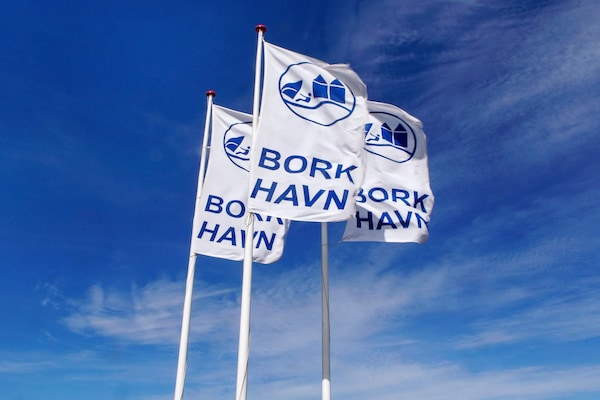 Foto van Gezellige oase vlakbij Bork Harbor - Vakantiehuis in Hemmet - Untagged