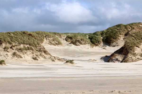 Foto van 6 persoons vakantie huis in Henne-By Traum - Vakantiehuis in Henne - Untagged