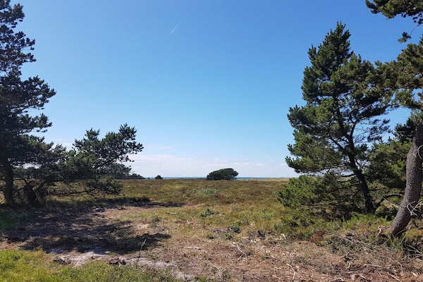 Foto van 6 persoons vakantie huis in Læsø-By Traum - Vakantiehuis in Læsø - Untagged