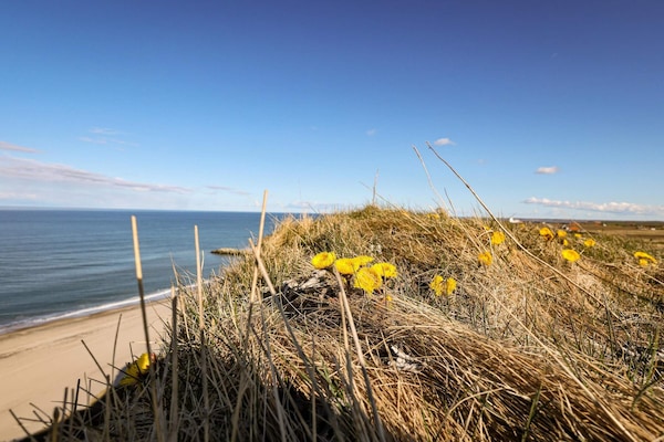 Foto van 6 persoons vakantie huis in Lemvig-By Traum - Vakantiehuis in Lemvig - WaterView