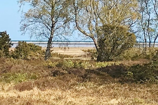 Foto van 6 persoons vakantie huis in Hadsund-By Traum - Vakantiehuis in Hadsund - Outdoor