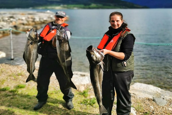 Foto van 10 persoons vakantie huis in EIDSVÅG - Vakantiehuis in Eidsvåg - Untagged