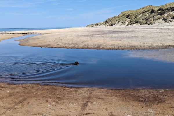 Foto van Gezellig strandhuis met uitzicht - Vakantiehuis in Hirtshals - WaterView