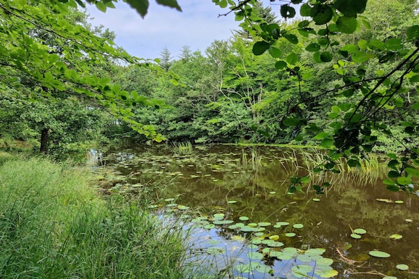 Foto van 6 persoons vakantie huis in Ålbæk-By Traum - Vakantiehuis in Ålbæk - WaterView