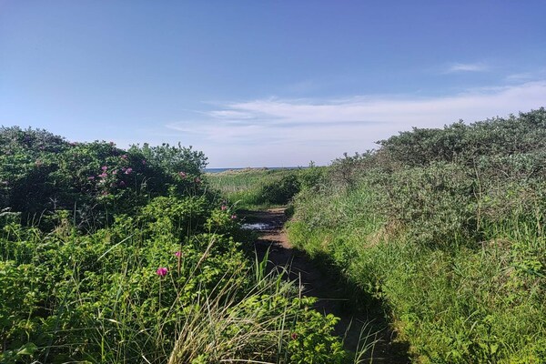 Foto van 6 persoons vakantie huis in Ålbæk-By Traum - Vakantiehuis in Ålbæk - Outdoor