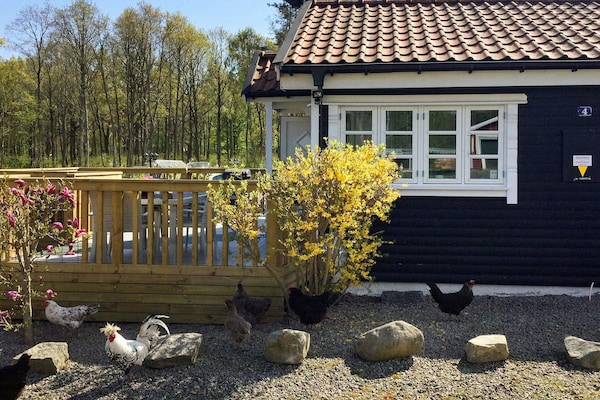 Foto van 6 persoons vakantie huis in SÖLVESBORG - Vakantiehuis in SÖLVESBORG - Outdoor