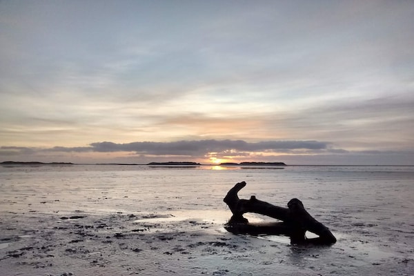 Foto van Verblijf aan het strand in Lakolk - Vakantiehuis in Rømø - WaterView