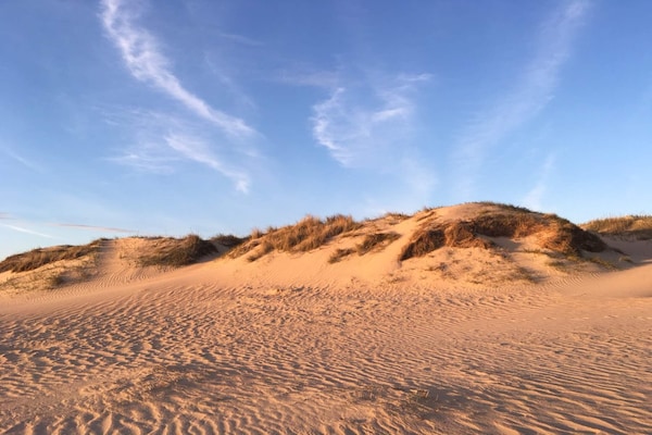 Foto van Verblijf aan het strand in Lakolk - Vakantiehuis in Rømø - Untagged