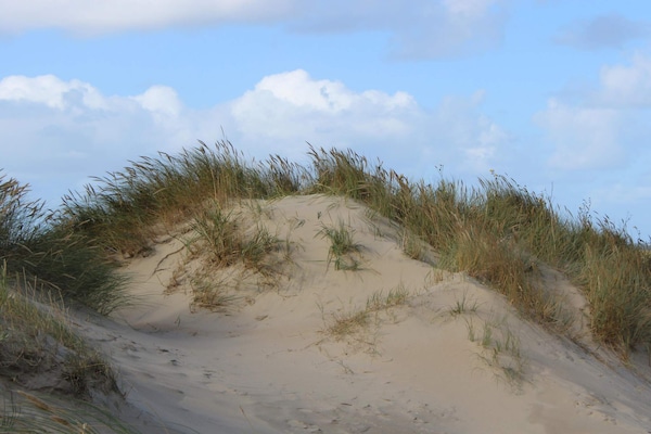 Foto van Verblijf aan het strand in Lakolk - Vakantiehuis in Rømø - Untagged