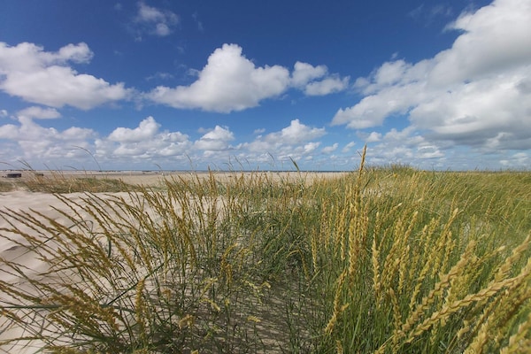 Foto van Verblijf aan het strand in Lakolk - Vakantiehuis in Rømø - Untagged