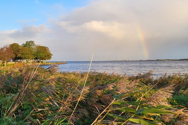 Foto van 6 persoons vakantie huis in Storvorde-By Traum - Vakantiehuis in Storvorde - WaterView
