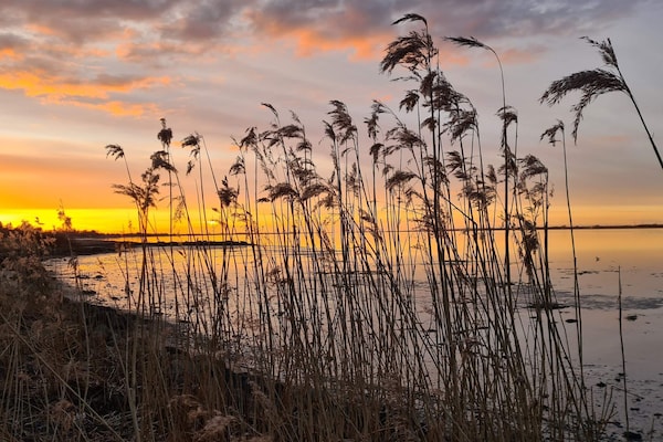 Foto van 6 persoons vakantie huis in Storvorde-By Traum - Vakantiehuis in Storvorde - WaterView