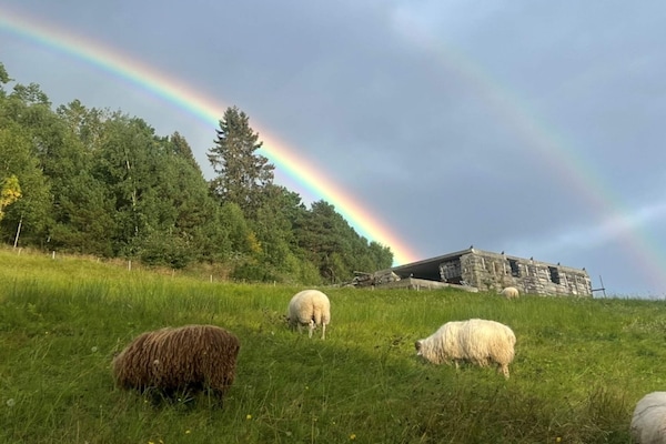Foto van 6 persoons vakantie huis in Leikanger - Vakantiehuis in Leikanger - Untagged