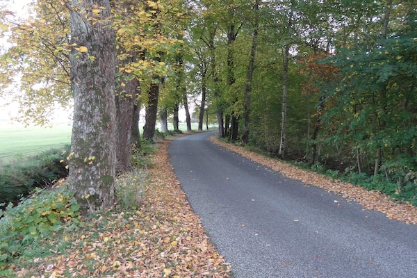 Foto van 6 persoons vakantie huis in Øster Assels-By Traum - Untagged