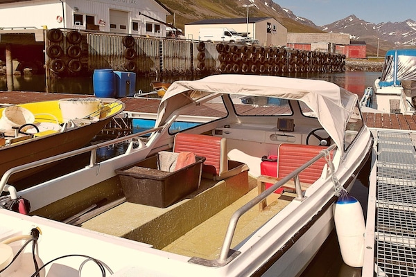 Foto van 8 persoons vakantie huis in Arnøyhamn - Vakantiehuis in Arnøyhamn - Untagged