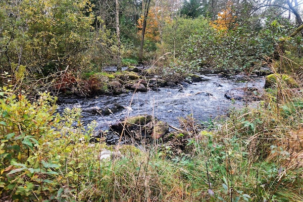 Foto van Vakantiehuis vlakbij 18-holes golfbaan in Vittsjö - Untagged