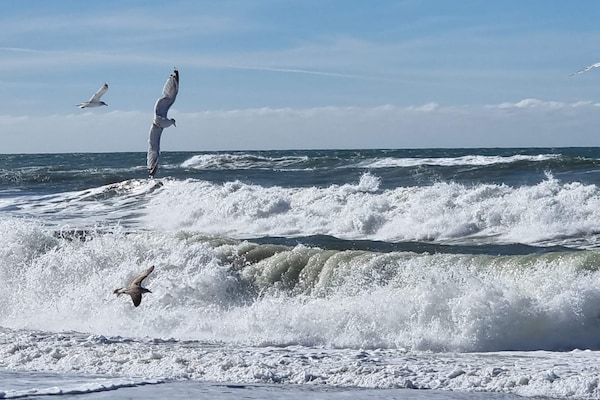 Foto van Luxe Spa Retreat aan Zee - Vakantiehuis in Harboøre - WaterView