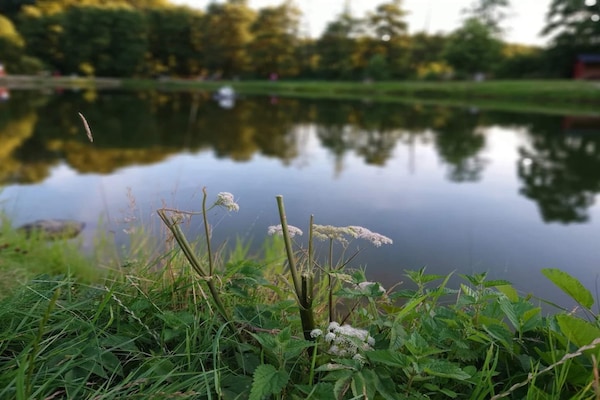 Foto van Luxe verblijf bij Asbolholm - Vakantiehuis in Lunderskov - WaterView