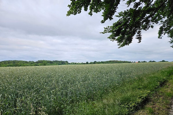 Foto van 6 persoons vakantie huis in Hejls-By Traum - Vakantiehuis in Hejls - Untagged