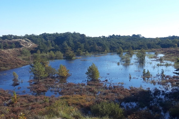 Foto van Luxe vakantieverblijf met zwembad - Vakantiehuis in Rømø - WaterView