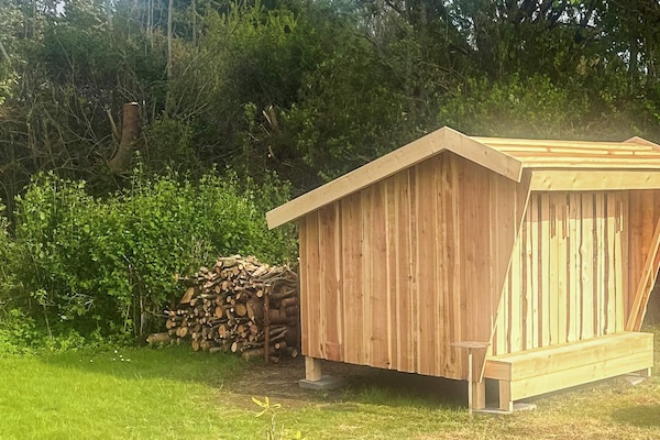 Foto van 6 persoons vakantie huis in Hals-By Traum - Vakantiehuis in Hals - Outdoor
