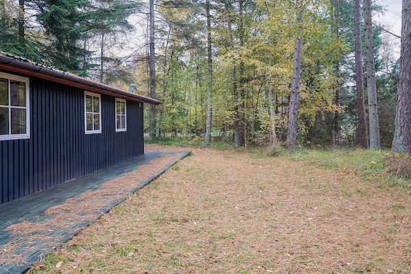 Foto van 6 persoons vakantie huis in Store Fuglede-By Traum - View