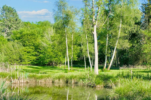 Foto van 7 persoons vakantie huis in Hornbæk-By Traum - Vakantiehuis in Hornbæk - View