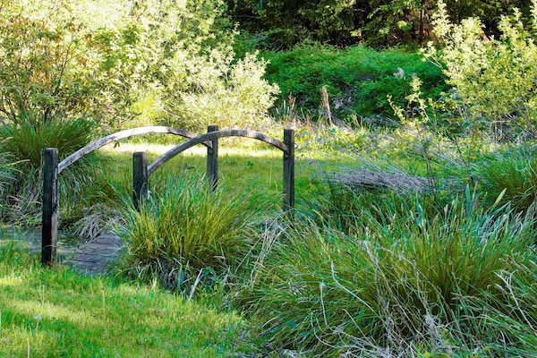 Foto van 7 persoons vakantie huis in Hornbæk-By Traum - Vakantiehuis in Hornbæk - View