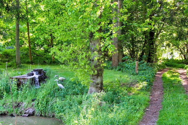 Foto van 7 persoons vakantie huis in Hornbæk-By Traum - Vakantiehuis in Hornbæk - View