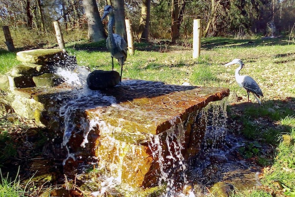 Foto van 7 persoons vakantie huis in Hornbæk-By Traum - Vakantiehuis in Hornbæk - Untagged