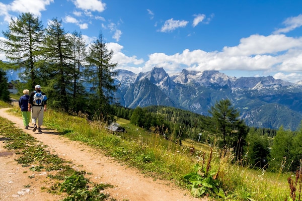 Foto van 3-slaapkamer Alpenappartement voor 8 gasten - Vakantiehuis in Hinterstoder - AreaSummer1KM