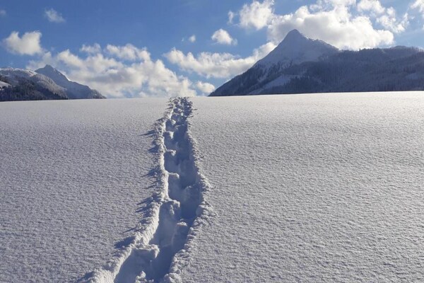 Foto van Chalet in Oostenrijk bij Skiën & Natuur - Vakantiehuis in Mittersill - AreaWinter20KM