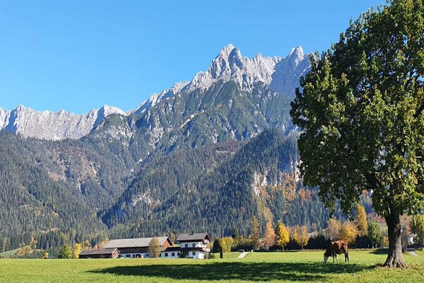 Foto van Vakantie op een biologische boerderij vlakbij skipistes - ExteriorSummer