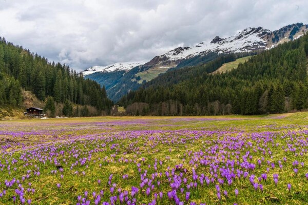 Foto van Appartement Neustift bij Stubai Skilift - Vakantiehuis in Neustift im Stubaital - AreaSummer20KM