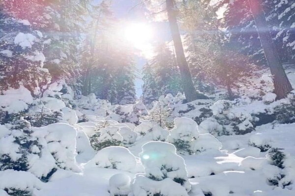 Foto van Appartement in Ramsau bij Skiliften - Vakantiehuis in Ramsau - AreaWinter20KM