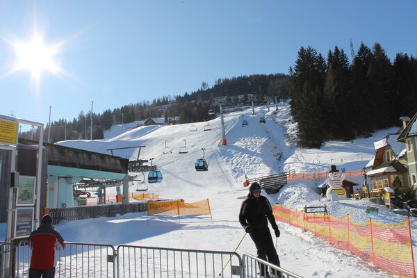 Foto van chalet met sauna - Vakantiehuis in Kreischberg Murau - AreaWinter1KM