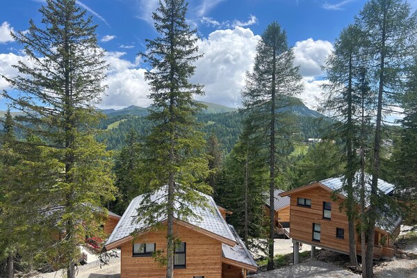 Foto van Mooi chalet met sauna - Vakantiehuis in Turrach - ViewSummer