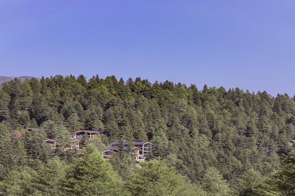 Foto van Luxe chalet met sauna en bubbelbad - Vakantiehuis in Turrach - Outdoor