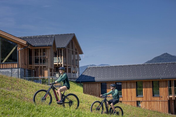 Foto van Luxe chalet met privésauna - Vakantiehuis in Ennsling - AreaSummer1KM