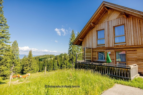 Foto van Chalet in Karinthië met sauna bij skipistes - Vakantiehuis in Sankt Gertraud-Weinebene - ExteriorSummer